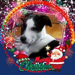 Meet your Posher, Melody